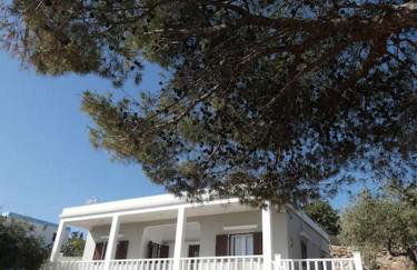 Santina's house - Foto 42