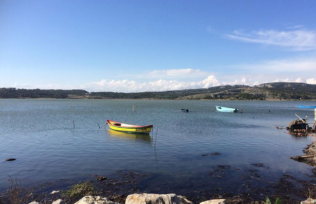 Private Tagestour nach Narbonne, Gruissan und Lagrasse. Von Carcassonne. - Foto 14