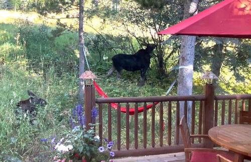 3137 Arrowhead - Foto 2