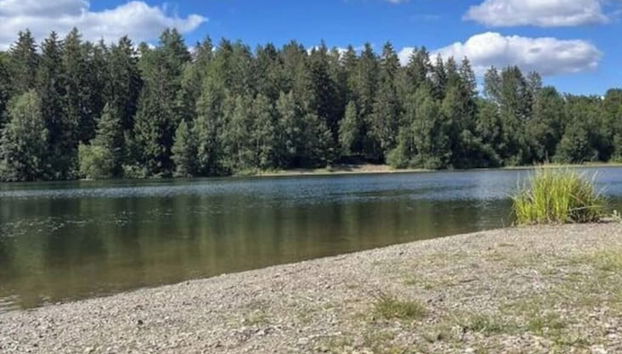 Panoramic View of Lake Harz - Foto 5, Habitación