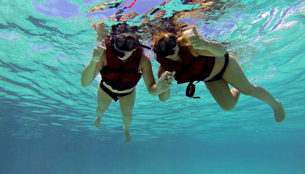 Puerto Morelos Snorkeling Tour - Foto 3