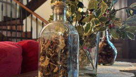 La Quintana de Doña Leonor - Foto 4