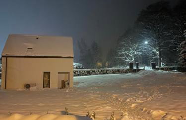 MINIMAL. Dom całoroczny w górach - Foto 29