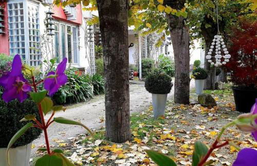 zentral club voltio-jacuzzi - Foto 44