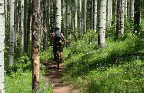 5 Bedroom - Located in Old Town Eagle - Foto 42