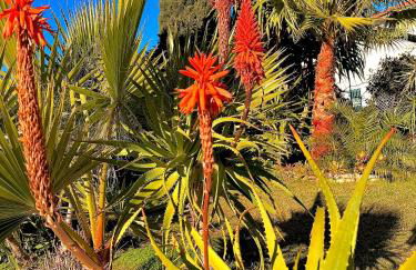 Appartement moderne climatisé avec piscine, terrasse et parking - Proche Promenade des Anglais - Foto 28