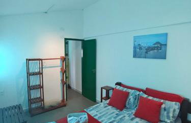 Edf ponta verde - Photo 8