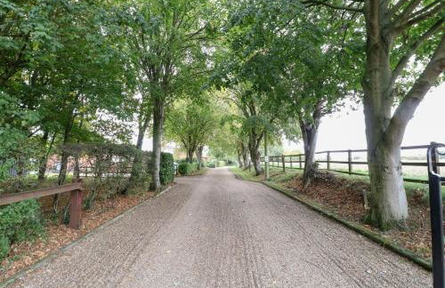 Holly Berry - Foto 34