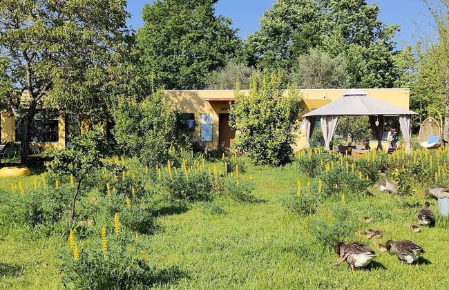 Casa das Palmeiras - Pedagogic Farm - Foto 140