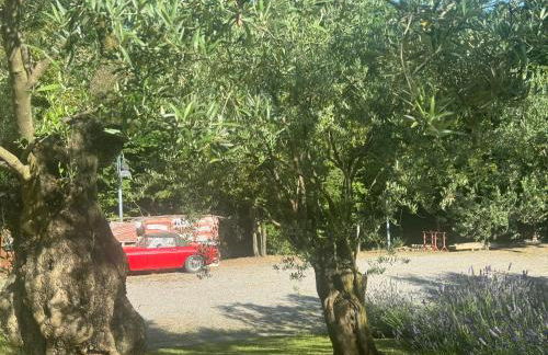 Chalet Bosco Magico Roccolo - Foto 11