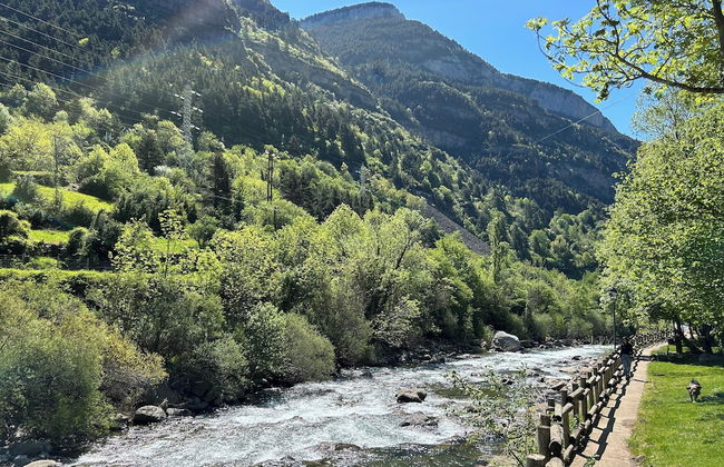 Apartahotel Canfranc - Foto 46