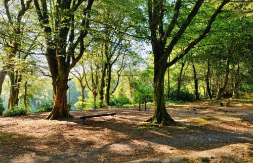 Finest Retreats - Joyful Cottage - Foto 7