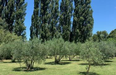 Les Cerisiers maison bertuli climatisé, Piscine chauffée, lit King size, classé 5 étoiles - Foto 47