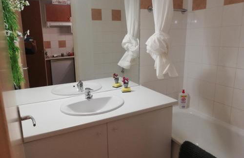 Appartement les chalets d estives - Photo 6