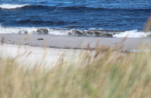 Fewo-Hiddenseeblick - Photo 31