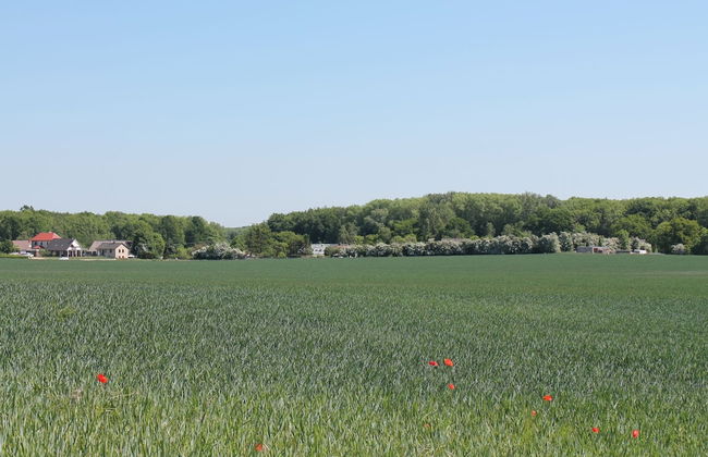 Cozy Apartment in Boltenhagen Germany near Beach - Photo 11