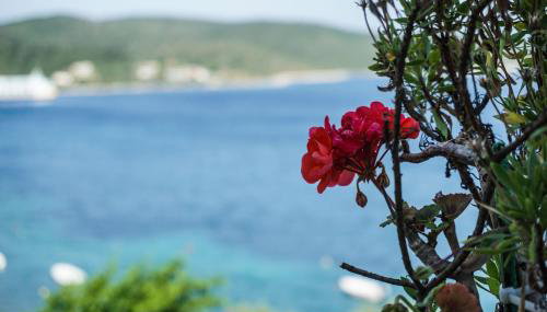 Alexandra's Glifa Apartments - Foto 3