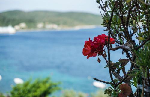 Alexandra's Glifa Apartments - Foto 3