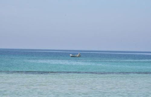 Na Chicca e na Nicchia - Foto 25