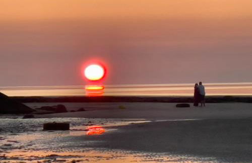 La BALEINE BLEUE - Foto 18