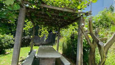 Lugar do Pombal - Foto 2, Garden