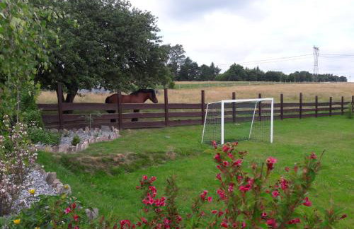 Agroturystyka "na łąkach" - Foto 45