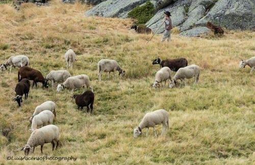 Senhora da Estrela AL - Foto 44