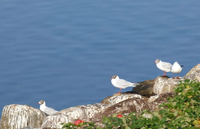 4 Star Holiday Home in Skals-by Traum - Foto 25