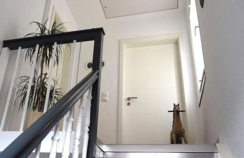 Apartment Schlossblick - Top location - Foto 68