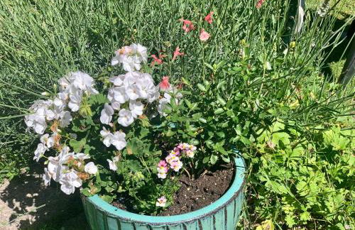 Neptunes Rest - Foto 9