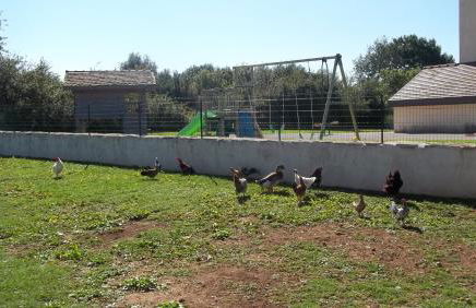 Gite Du Colombier - Foto 46