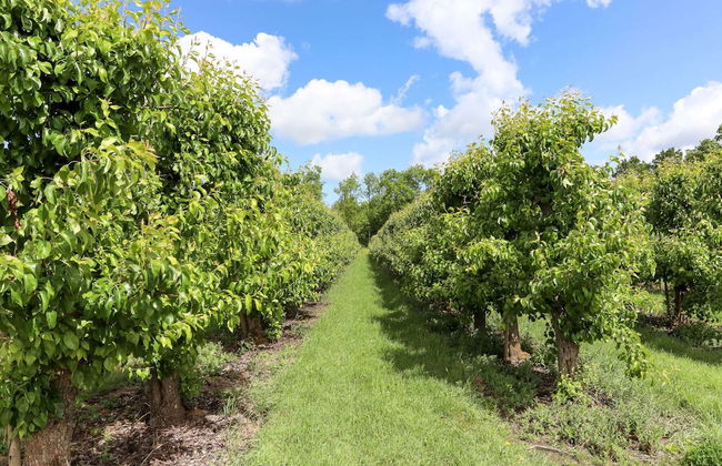 Cosy Holiday Home With Private Sauna - Photo 26