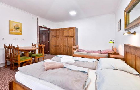 Nice Home In Zelezna Gora With Sauna - Foto 44