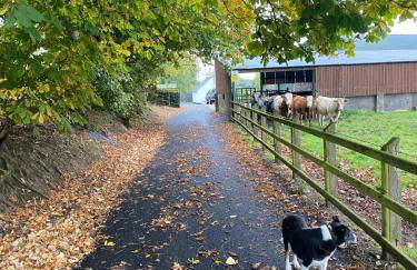 Campbell's Cottage - Foto 41