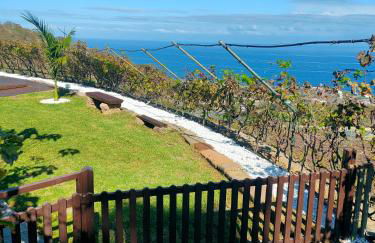 Finca Los Viñedos Verdes - Foto 7