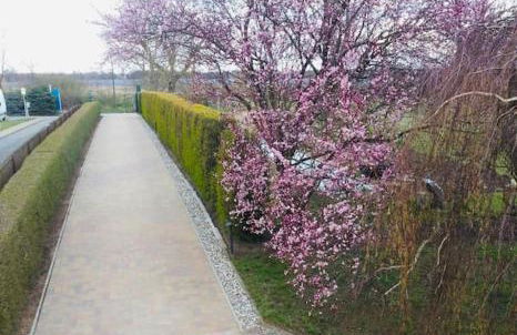 Geräumige Wohnung mit Terrasse in ruhiger Lage - Foto 15