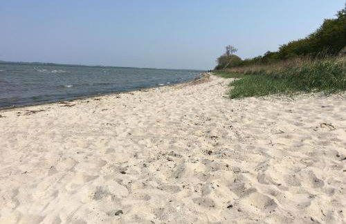 Frühling am Meer mit Ostseeblick, Kamin und Sauna nur 500 m vom Strand entfernt - Photo 47