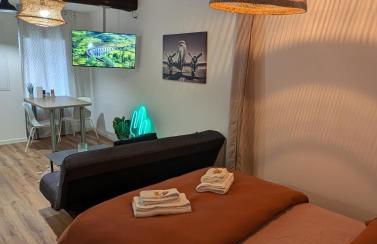 Charmant studio au coeur de la ville - Foto 4