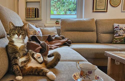 Forest House Podwilczyn with sauna & fireplace - Foto 26