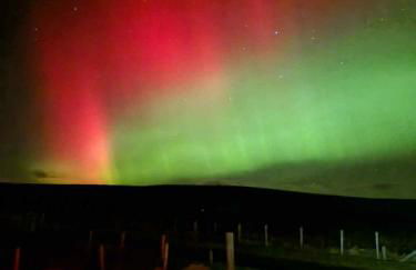 Owlswood Lodge - Photo 74