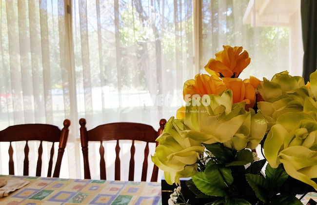 Impressive Hobby Farm Close in Bungaree - Foto 5