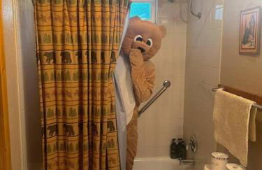 Tahoe Townie - Cozy Cabin in South Lake Tahoe! - Foto 20