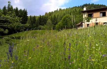 Baita Agaz - Foto 41