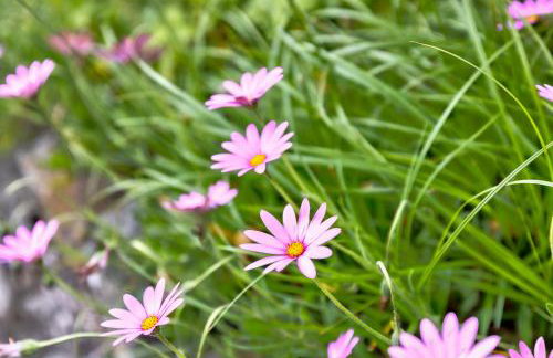 Howgills Apartments - Foto 42