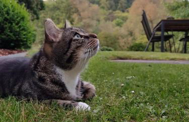 Ferienwohnung Königsquellenpark - Foto 26