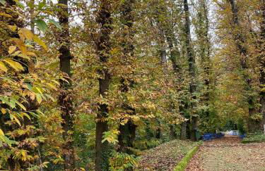 Fiuggiamo House - Foto 33