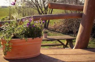 Tinyhouse Zirkuswagen- Kotten Kunterbunt - Foto 2