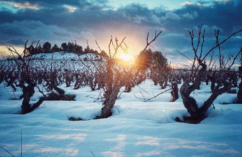 Apartamento "Kanogal" - Photo 30