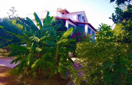 Blue Studios by Irene - Photo 1