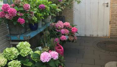 Apartment Klatenberg - Foto 3